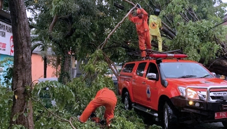 Petugas gabungan saat melakukan penanganan pohon tumbang. (FOTO: Instagram BPBD Kota Kediri)