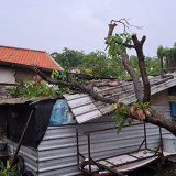 Kabupaten Sidoarjo Diterjang Hujan Deras dan Angin Kencang 