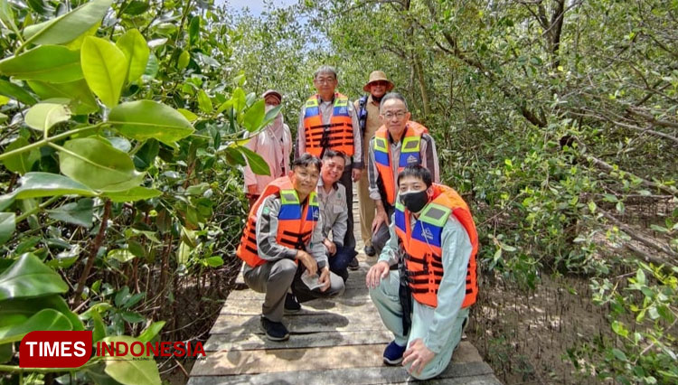 Melihat Konservasi Mangrove di Gresik Utara, Cocok untuk Healing