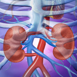 Bagaimana Kerja Probiotik Multistrain Mencegah dan Membantu Sembuhkan Gagal Ginjal Akut?