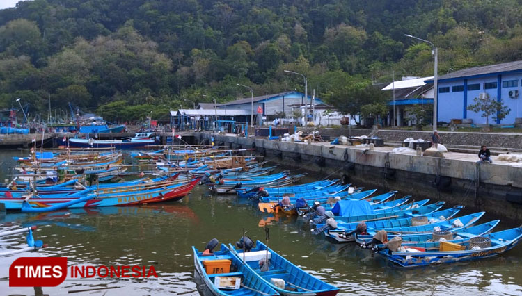 Ratusan-perahu-nelayan-Kabupaten-Pacitan-b.jpg