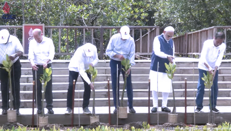 The Leaders of G20 Plants Mangroves At Tahura Ngurah Rai Bali