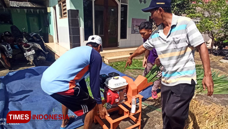 UB Mengabdi Kembangkan Sistem Investasi Pemasaran Budidaya Ternak Domba ...