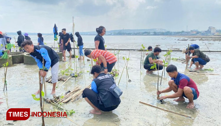 Aktivitas menanam mangrove. (Foto: Dok. TIMES Indonesia)