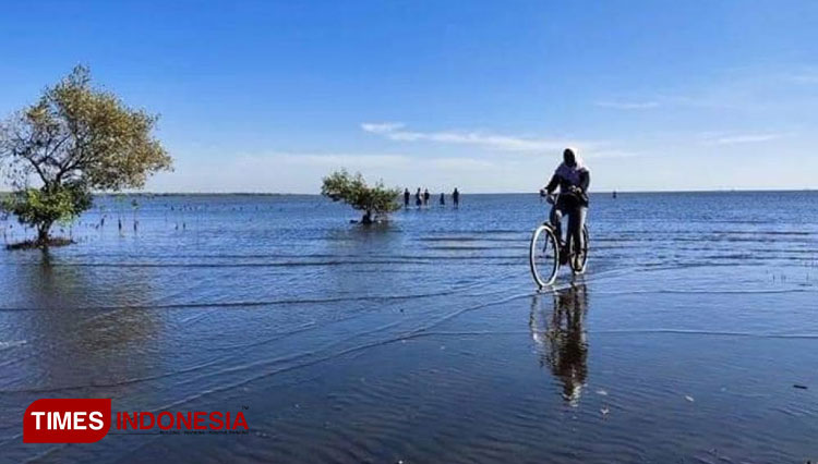 Sepotong Senja dan Rimbunnya Cemara Bisa Dinikmati di Dua Pantai di Kota Probolinggo 