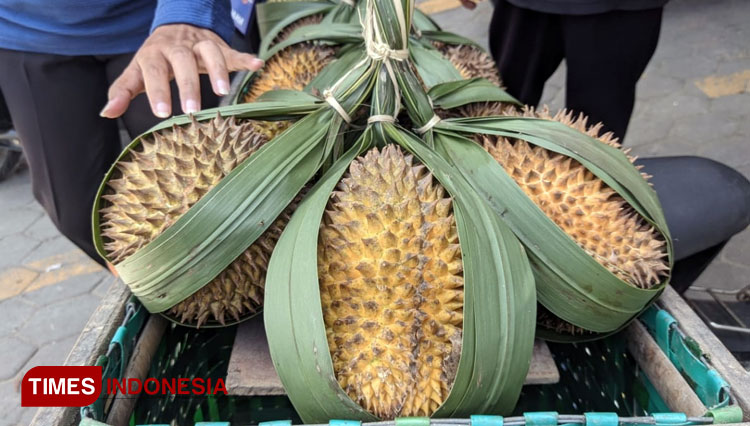Durian-lokal-Pacitan-a.jpg