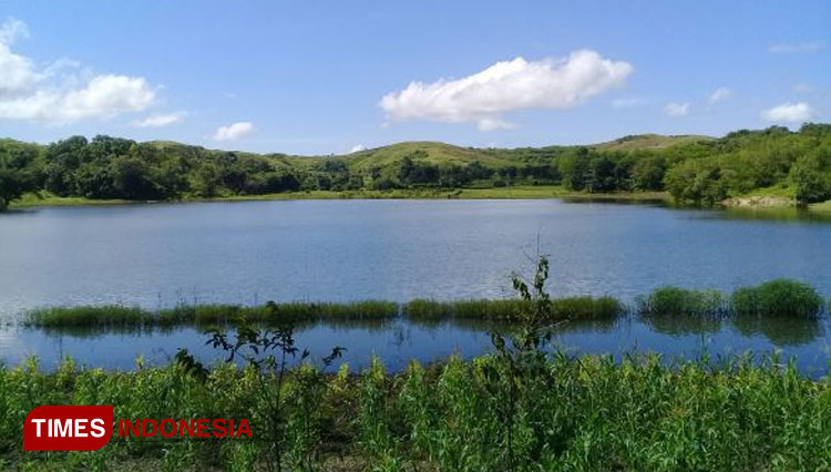 Danau Wairinding di Desa Pambotanjara, Kab. Sumba Timur NTT.(FOTO:Habibudin/TIMES Indonesia)