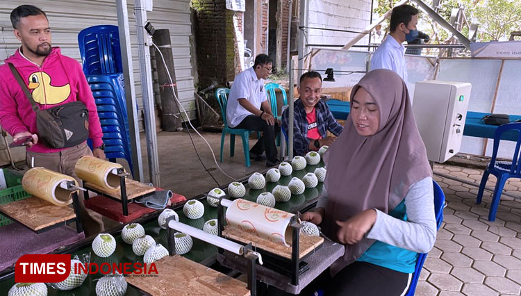 Proses-membungkus-jambu-kristal-dengan-plastik.jpg