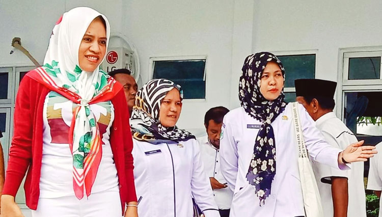 Tahun Depan, Pemkab Sula Bangun Rumah Sakit Pratama Tipe D di Mangoli Barat