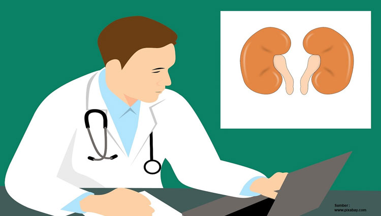 Ilustrasi kasus gagal ginjal akut - (FOTO: dok pixabay)