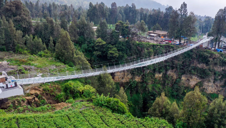 Jembatan-Kaca-Probolinggo-2.jpg