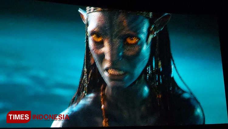 Avatar-1.jpg