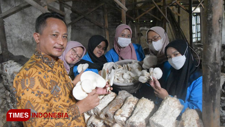 Dosen Prodi Pendidikan Biologi saat pendampingan budidaya jamur tiram. (Foto: Humas UNIPMA for Times Indonesia)