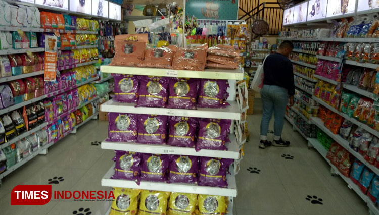 Makanan-Kucing.jpg