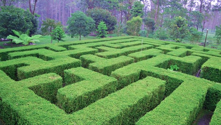 Taman Labirin Coban Rondo in Malang. (PHOTO: dakatour.com)