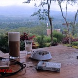 Experience The Best Coffee Quality at Watupanjang Coffee Farm