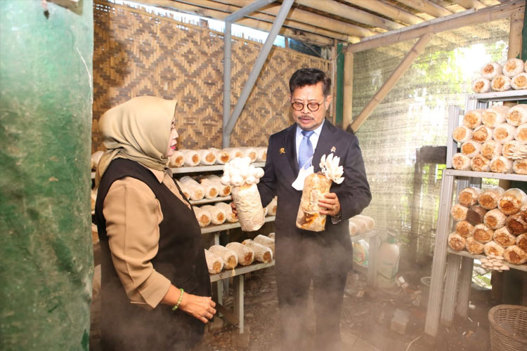 Menteri Pertanian Syahrul Yasin Limpo meninjau integrated farming yang dikelola P4S Swen Inovasi Mandiri di Ciomas, Bogor, Rabu (18/1/2023). (Foto: BBPP Ketindan)