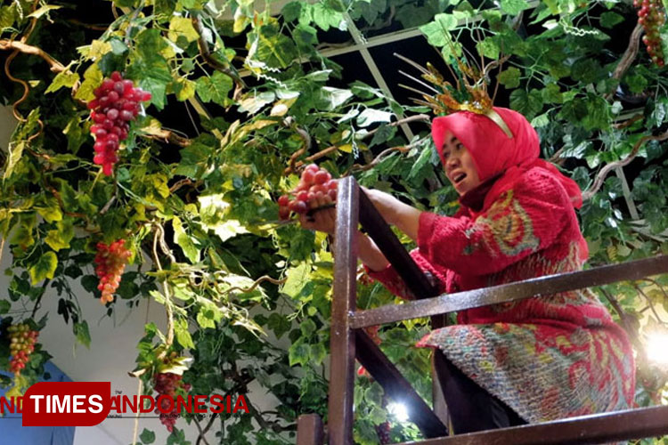 Seorang pengunjung menaiki tangga untuk memetik buah anggur di acara Imlek Fruit Market Malang Town Square, 2021. Kabupaten Malang menjadi penghasil anggur terbanyak ketiga di Jawa Timur, mengalahkan Probolinggo yang dikenal sebagai Kota Anggur.