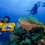 Anggota Himakpa ITN Malang Lulus PADI Open Water Diver Course
