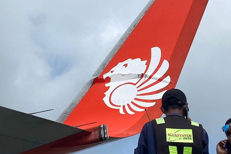 Lion-Air-b.jpg