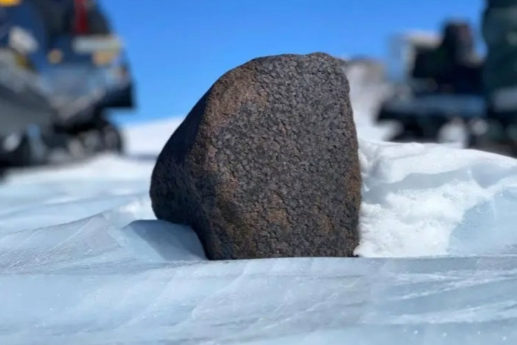 Meteorit seberat 17 pon yang ditemukan tim peneliti Internasional. (FOTO: Scitechdaily)