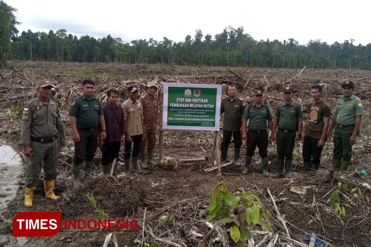 Dinas Kehutanan Simeulue Hentikan Pembukaan Lahan Sawit PT RJM di Teluk Dalam 