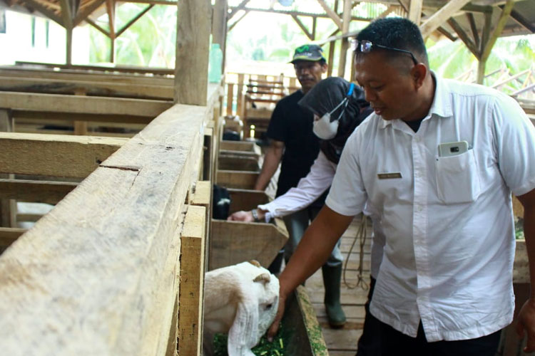 DKPPP Kota Banjar Kunjungi Putra Galuh Farm
