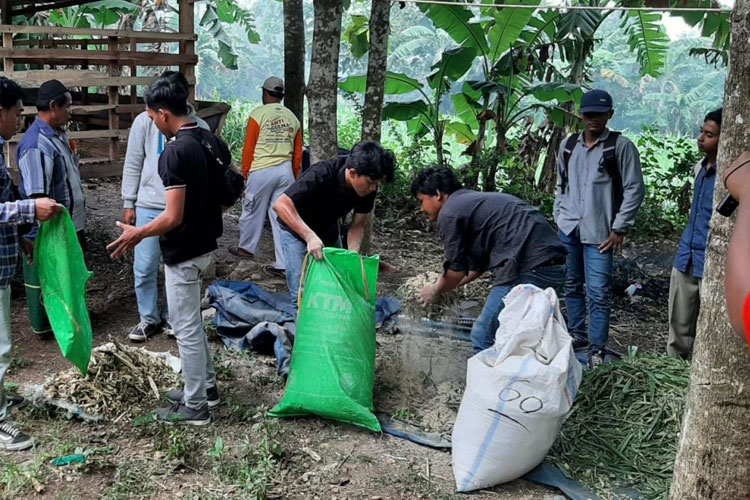 Mandiri dalam Pakan Ternak: Pelatihan Menggunakan Sumber Daya Lokal