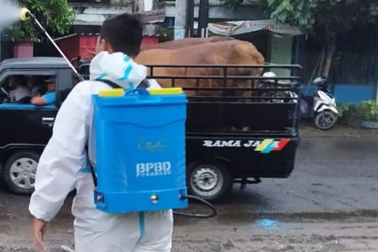 Petugas BPBD Ponorogo lakukan sterilasasi dengan menyemprot disinfektan di area pasar hewan Jetis Ponorogo. (Foto:BPBD Ponorogo)