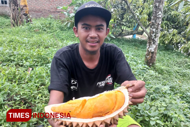 Berburu Durian Simas Wonosalam yang Dipercaya Aman Bagi Kesehatan 