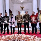 Perpres Media Sustainability, Presiden RI Jokowi: Media Massa Miliki Peran Penting