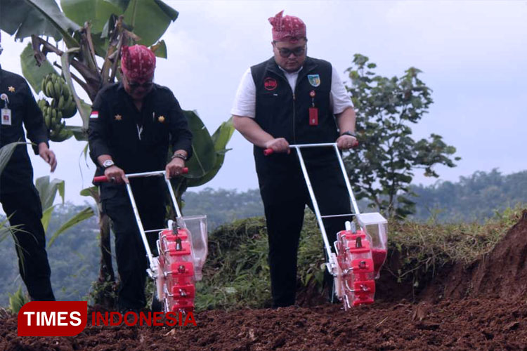 Syahrul-Yasin-Limpo-2.jpg
