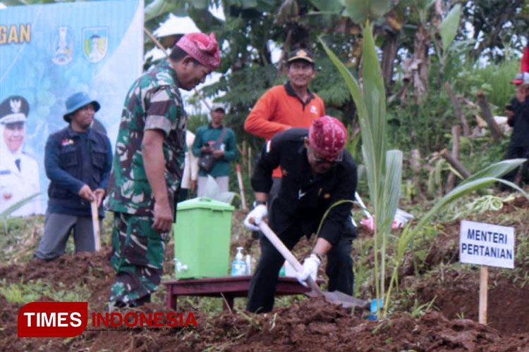 Seharian di Kabupaten Kediri, Menteri Pertanian Tanam Kelapa Genjah Sampai Ikut Panen Raya
