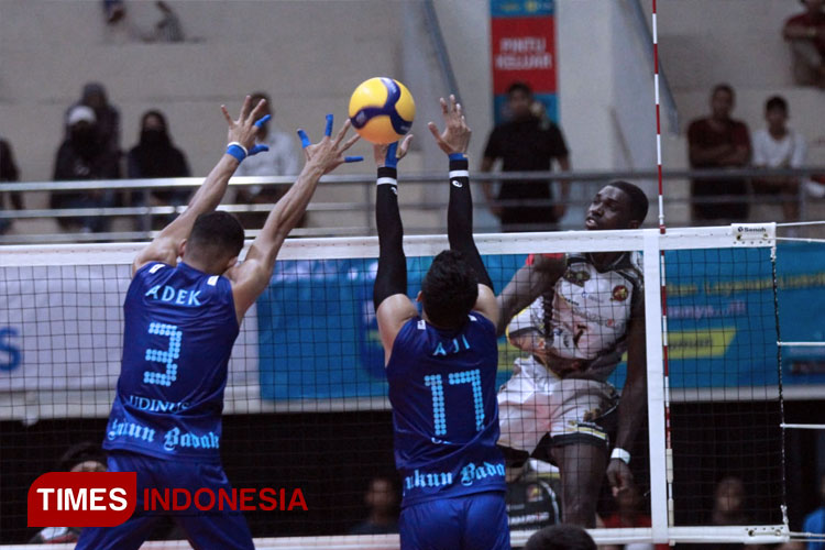 Kudus Sukun Badak harus tunduk atas lawannya Surabaya BIN Samator dengan skor 0-3 dalam laga putaran kedua PLN Mobile Proliga 2023 di GOR Ken Arok Malang. Minggu (12/2/2023). (FOTO: Tria Adha/TIMES Indonesia)