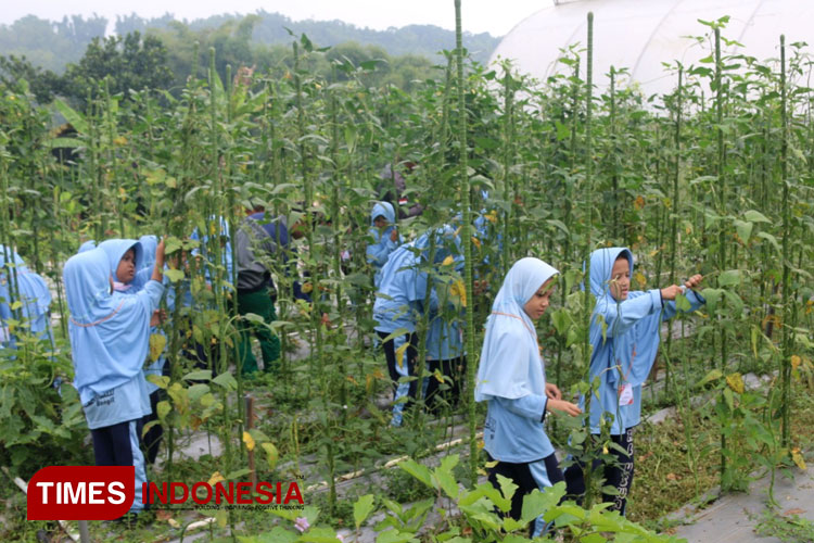 Polbangtan Malang Kenalkan Dunia Pertanian Sejak Dini Melalui Eduwisata ...