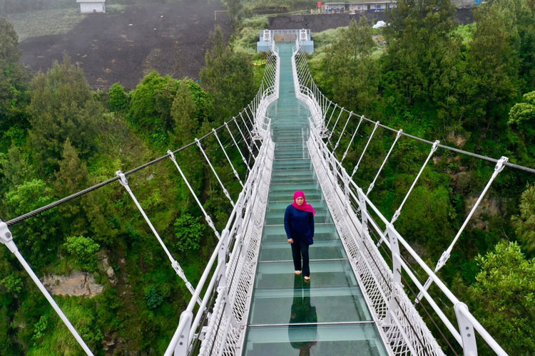 Seruni Glass Bridge, the New Iconic Attraction of Bromo