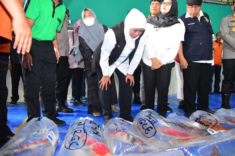 Gubernur Khofifah saat menghadiri kontes ikan koi di Blitar. (Dok.Humas Pemprov Jatim)