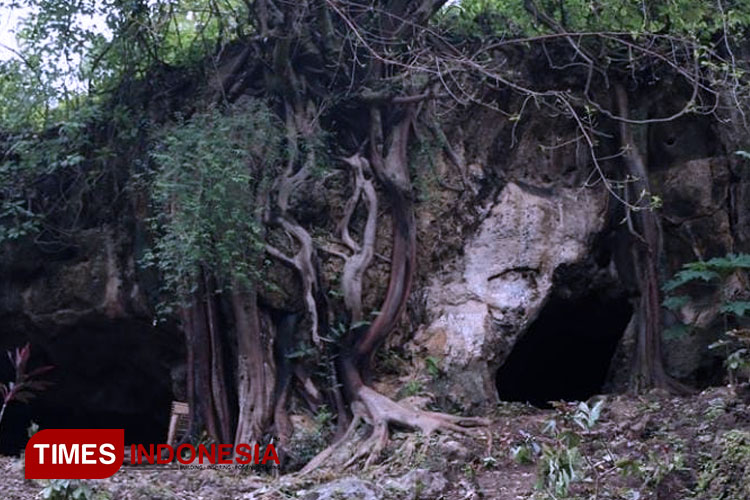 Mesolithic cave in Bondowoso. (PHOTO: Moh Bahri/TIMES Indonesia)