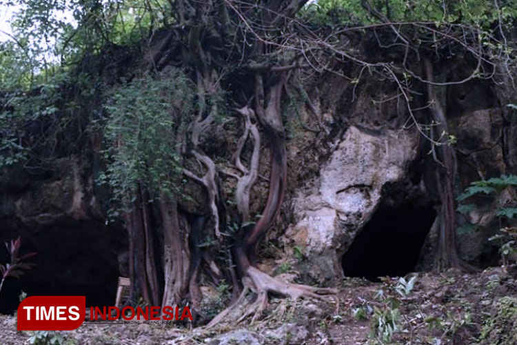 Take a Look at Fascinating Mesolithic Cave in Bondowoso
