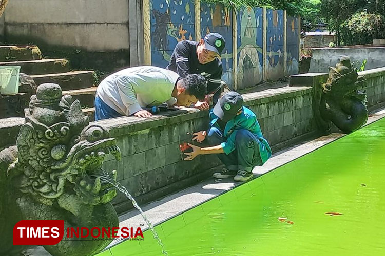 Mahasiswa KSM-T Unisma Malang melakukan perawatan fasilitas pemandian Pentungan Sari. (FOTO: AJP TIMES Indonesia)