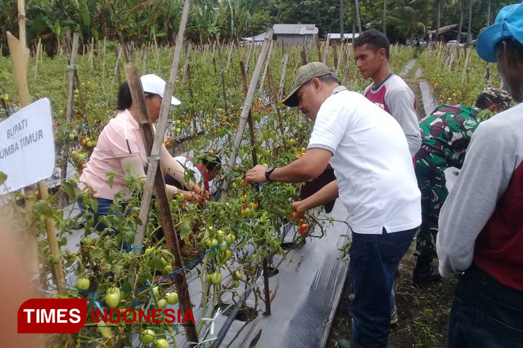 Bupati Khristofel Praing Apresiasi Poktan Milenial Lambanapu di Sumba Timur