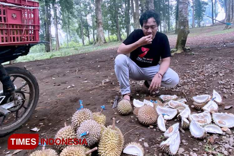 Durian-2.jpg