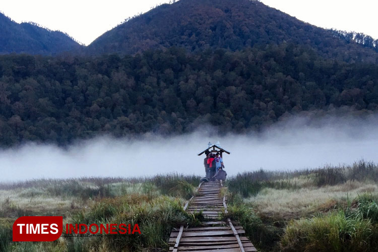 Summit at Mount Argopuro, the Longest Hiking Track in East Java