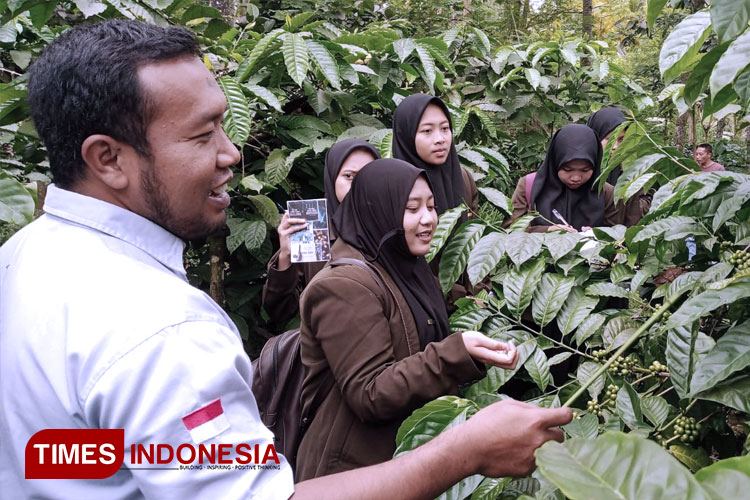 Pokdarwis Gombengsari sedang mengedukasi pengunjung tentang kopi di Wanawisata Sumbermanis, lingkungan Suko, Gombengsari, Banyuwangi, Jawa Timur. (FOTO: Anggara Cahya /TIMES Indonesia)