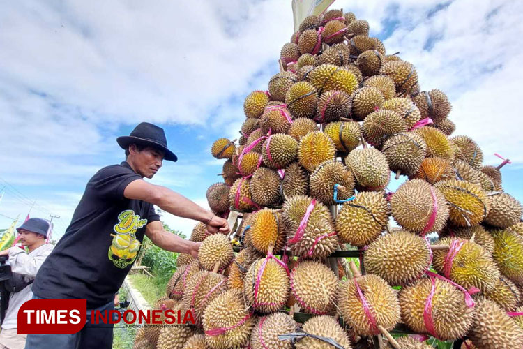 Dahar Durian, Best Festival for Those King of Fruits Lovers