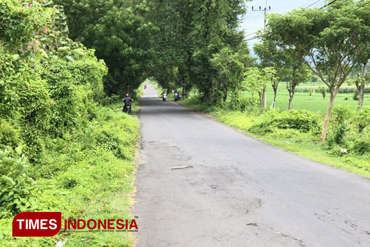 Kondisi jalan sedang yang ada di Kecamatan Krejengan. (Foto: Abdul Jalil/TIMES Indonesia)