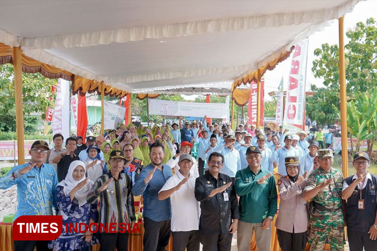 Panen padi nusantara di Kabupaten Lamongan. (FOTO: AJP TIMES Indonesia)