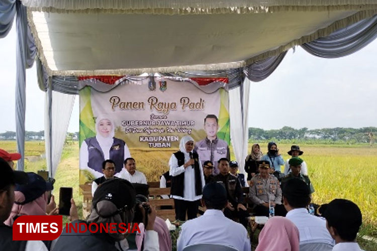 Gubernur Jatim Khofifah Indar Parawansa menghadiri momentum panen padi 1 juta hektare di Tuban. (Foto: BBPP Ketindan for TIMES Indonesia)