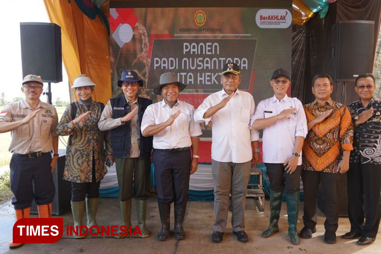 Panen Padi Nusantara di Serang, Banten. (FOTO: AJP TIMES Indonesia)