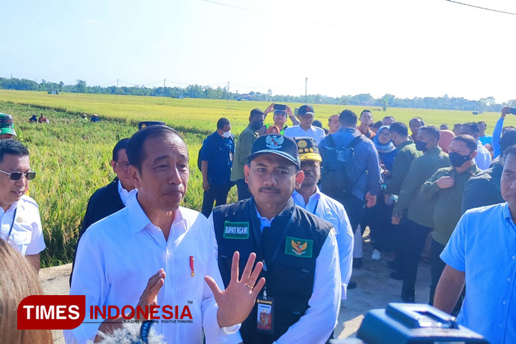 Jokowi.jpg